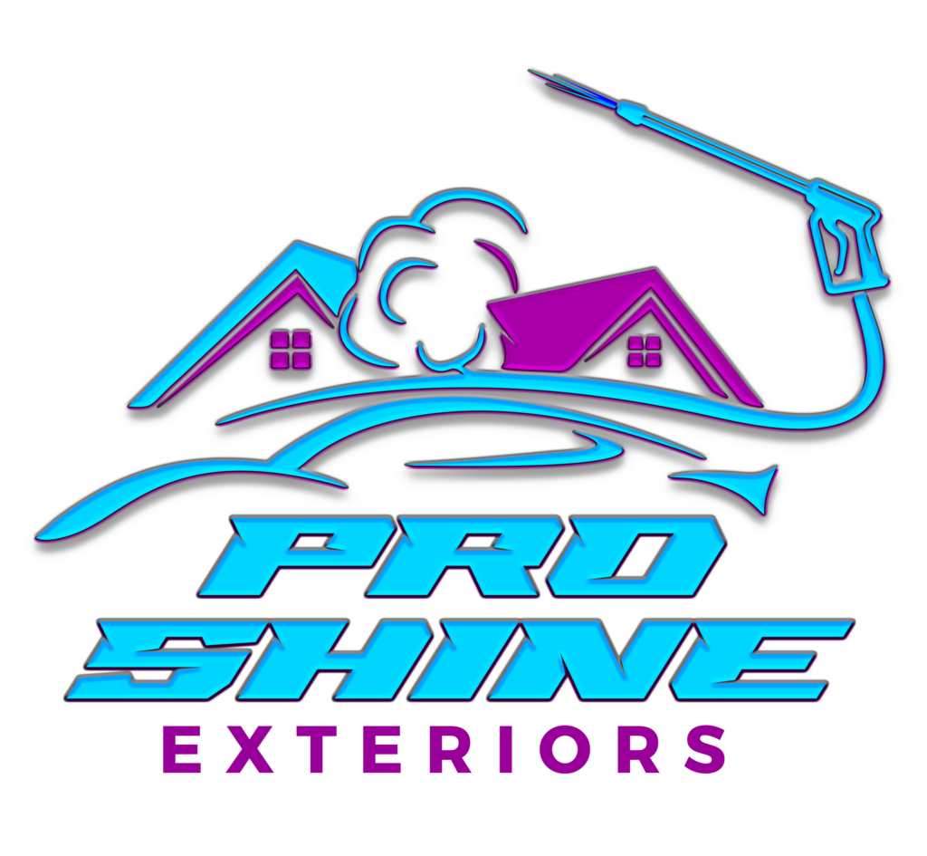 Pro Shine Logo